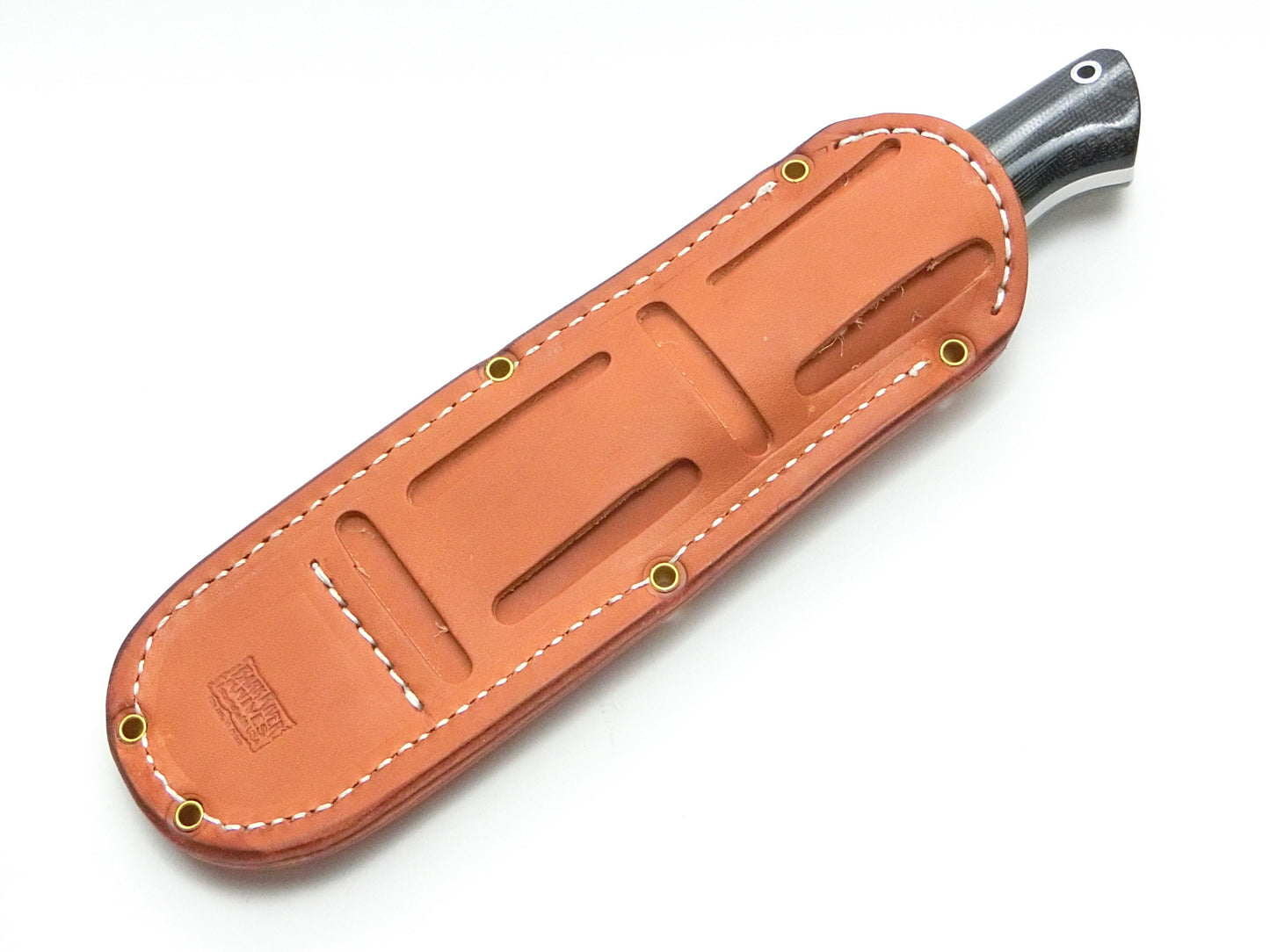 ブラボー 1 3V ブルーチョラカクタス ウィズターコイズ オレンジライナー モザイクピン ランプレス