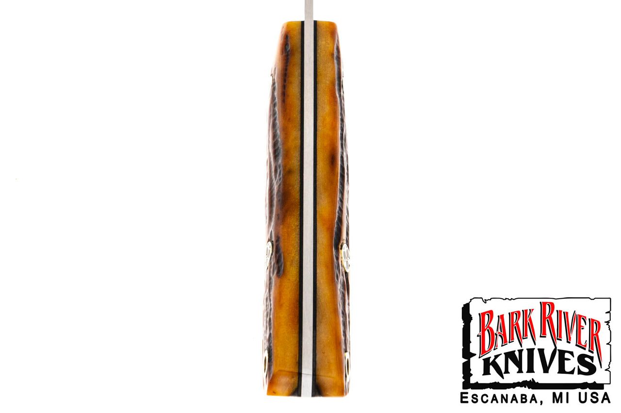 ミニ カラハリスポーツマン CPM-154 アンバー スタッグ ボーン - ブラック ライナー - モザイクピン #3