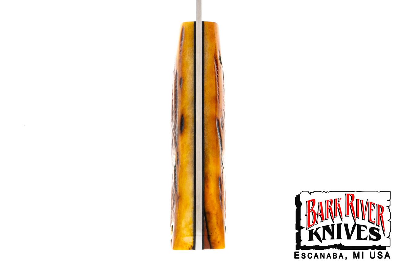 ミニ カラハリスポーツマン CPM-154 アンバー スタッグ ボーン - ブラック ライナー - モザイクピン #6