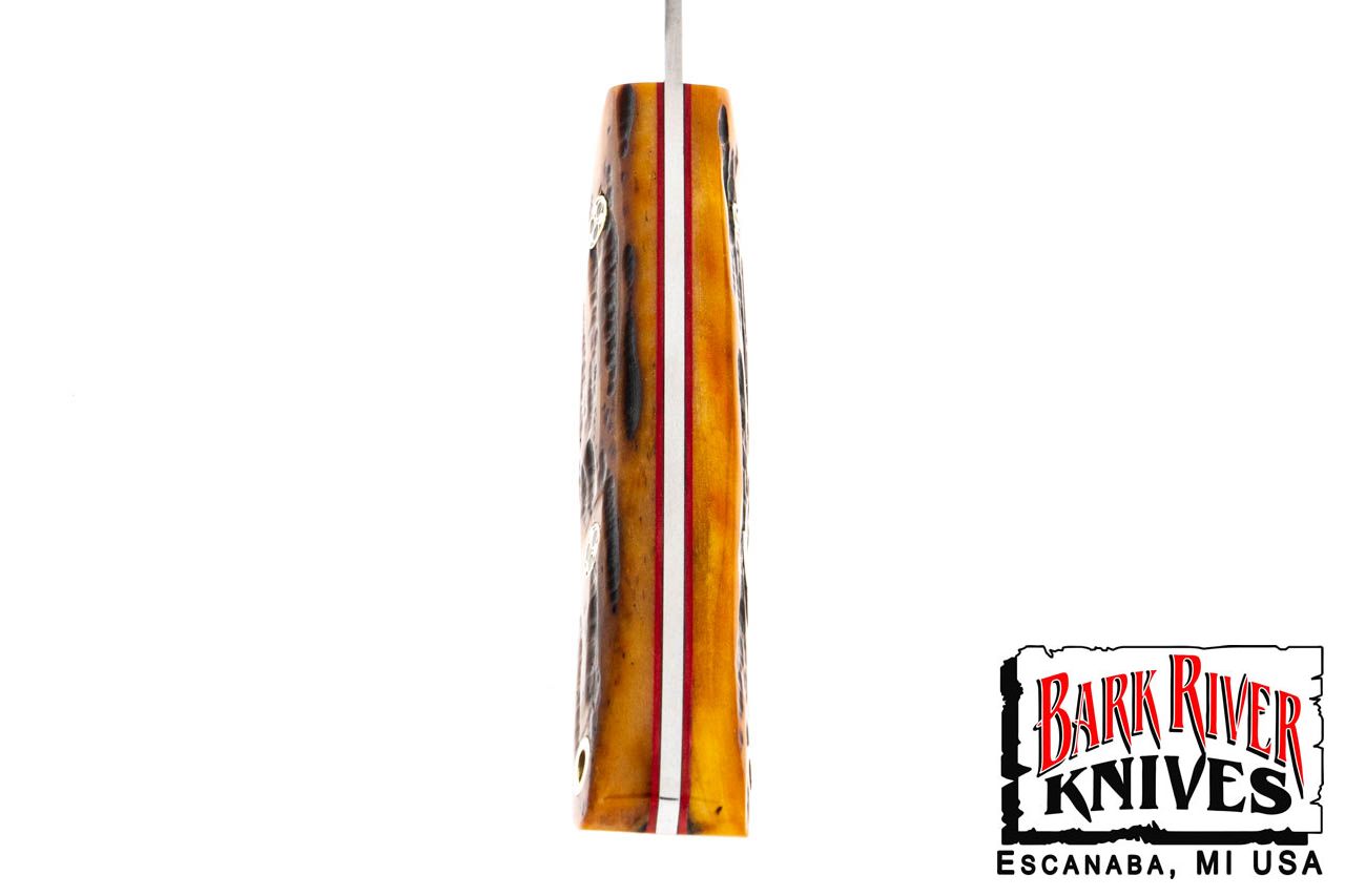 ミニ カラハリスポーツマン CPM-154 アンバー スタッグ ボーン - レッドライナー - モザイクピン #1