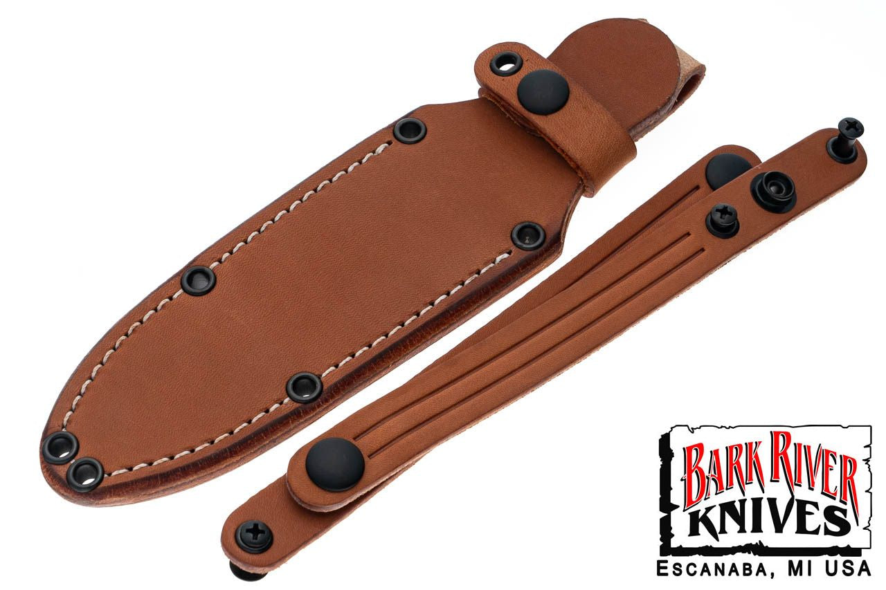 バークリバー カブ 3V パープル チョラカクタス ウィズ ターコイズ