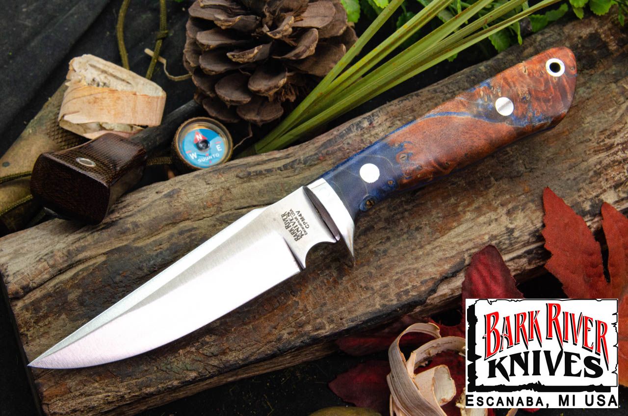 バークリバー ライオンハウンド 4V ブルー & ブラウン メイプルバール - シック ブルーライナー