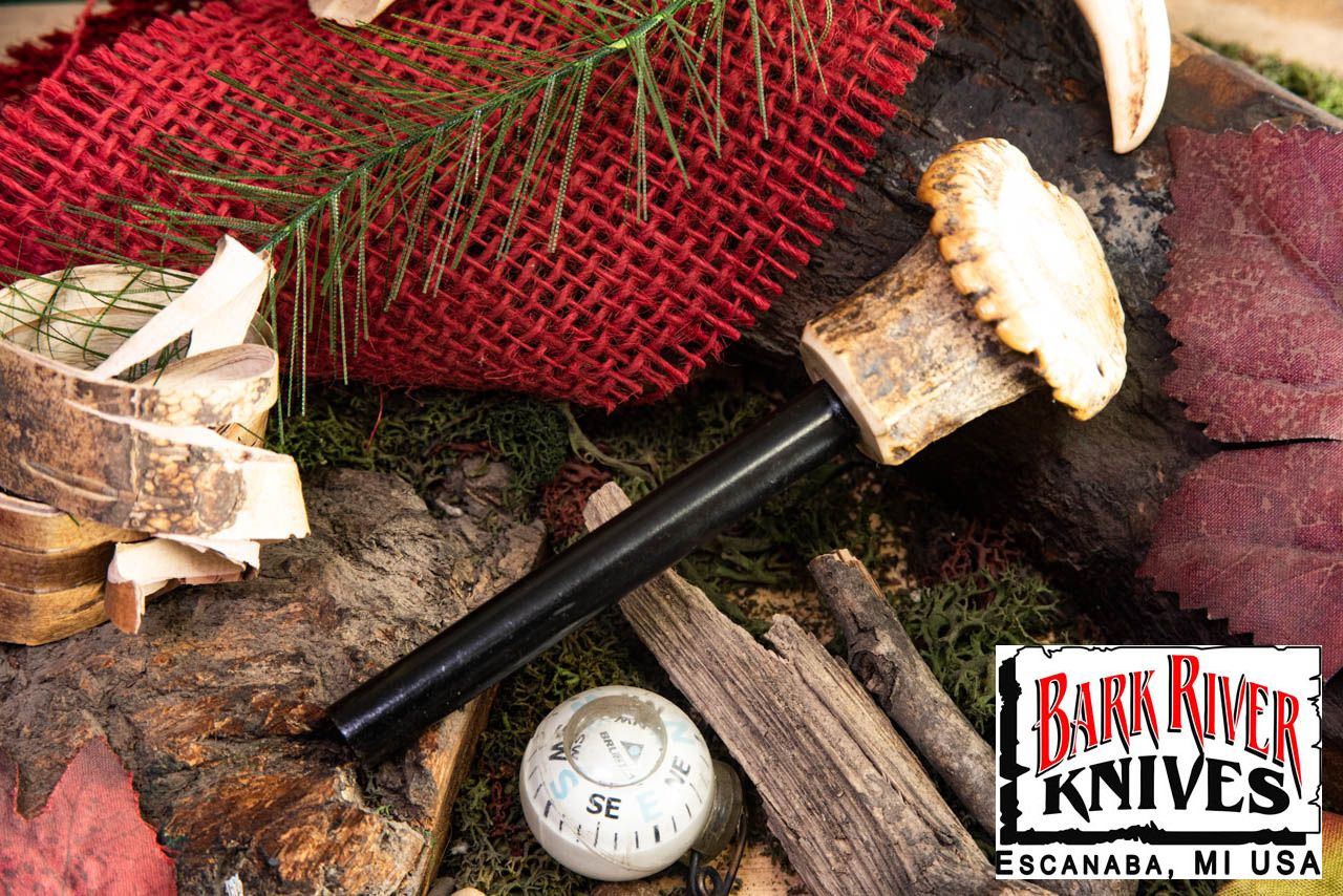 ファイヤースチール サンバースタッグ クラウン #22