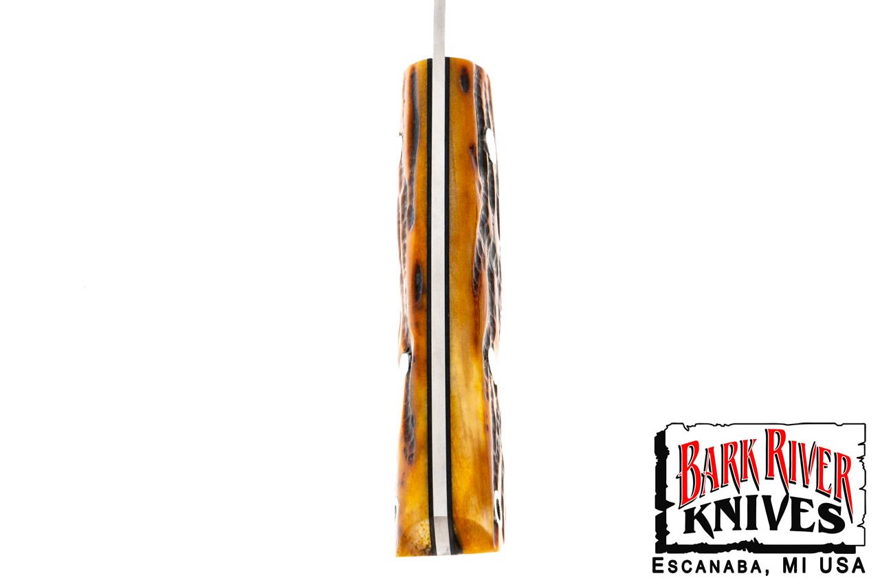 ミニ カラハリスポーツマン CPM-154 アンバー スタッグ ボーン - ブラック ライナー #9