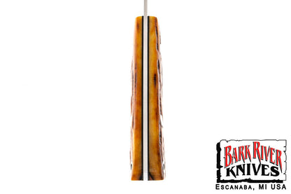 ミニ カラハリスポーツマン CPM-154 アンバー スタッグ ボーン - ブラック ライナー #11