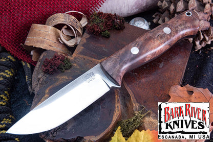 ブラボー 1 3V ブラウン メイプルバール - ランプレス