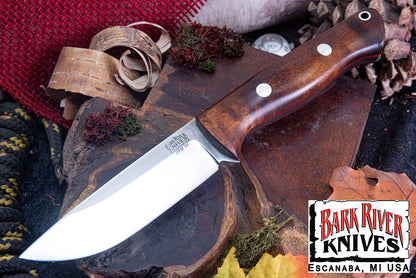 ブラボー 1 3V ダークカーリーメイプル - レッドライナー - ランプレス #1